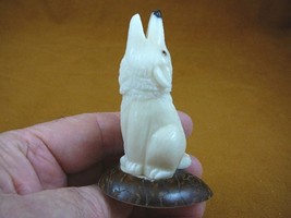tne-wol-324-d) white howling Wolf TAGUA NUT Figurine Carving Vegetable w... - £20.55 GBP