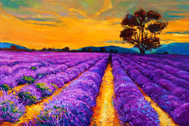 Framed canvas art print giclée purple lavender field sunset - £31.60 GBP+