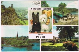 Postcard Double Scotch Perth Tay Valley Queen&#39;s Bridge St Leonard&#39;s Scotland UK - £2.32 GBP