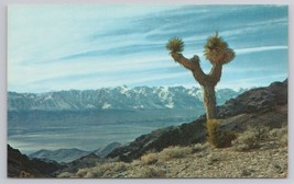 Precipitous Granite Peaks Sierra Nevada Range Inyo Mountains CA Postcard - £10.80 GBP