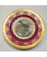 Vintage Decorative 10&quot; Game Plate Hand Painted Quail Gold Rim STW Bavari... - $74.24