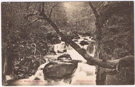 Postcard Torrent Walk Dolgelly Dolgellau Gwynedd North Wales - $3.53