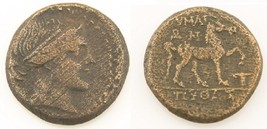 300-200 BC Greek AE20 Coin VF Aeolis Amazon Kyme Cyme horse Sear#4192 L&amp;... - $155.93