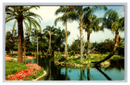 Busch Gardens Tampa Florida Lake Island Garden Postcard Unposted - £3.89 GBP