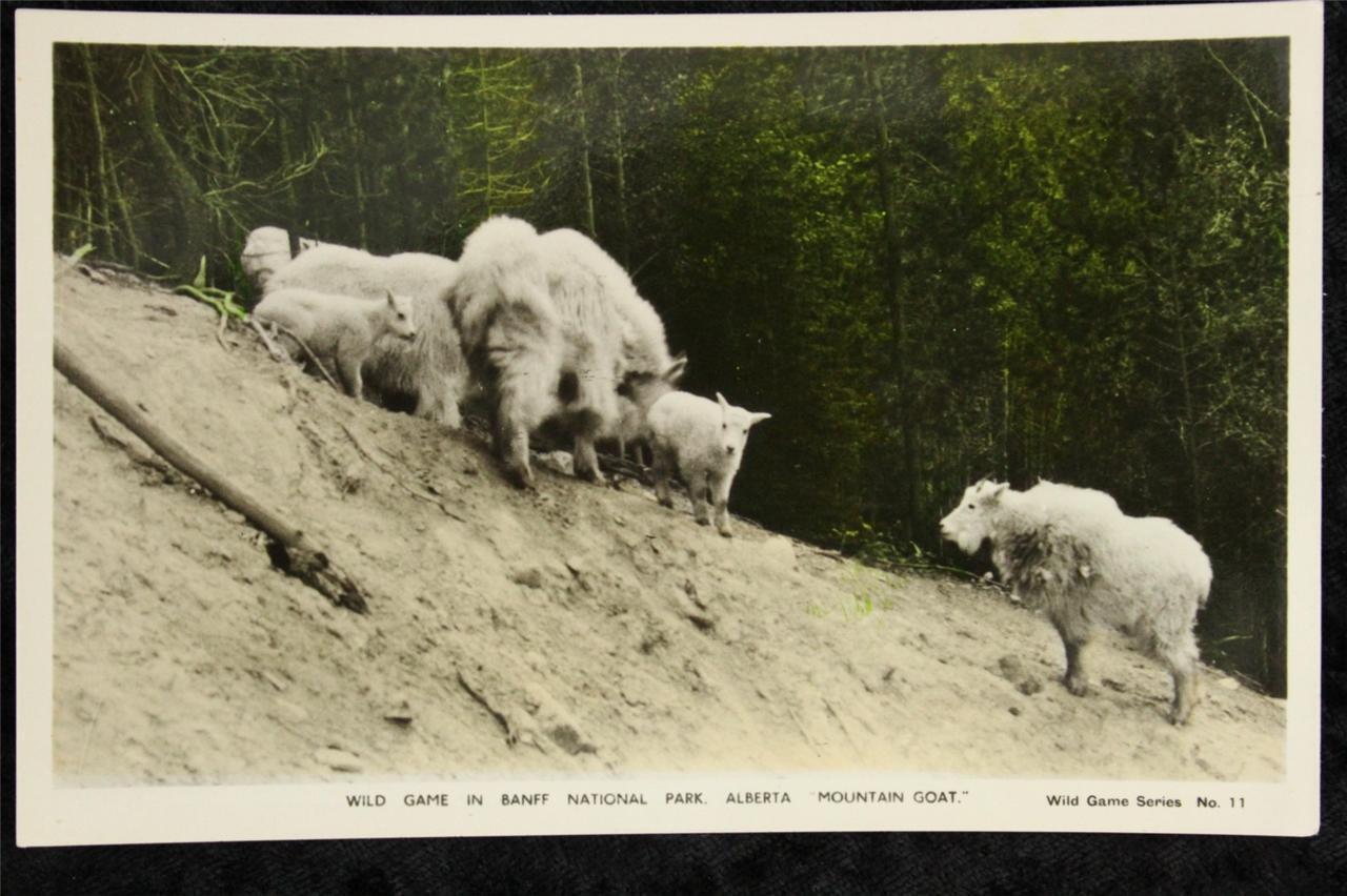 Vintage Photo Postcard Hand Colored Spaulding Banff Park Alberta Mountai... - $9.66