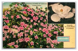 Magnolia Louisiana State Flower LA UNP LInen Postcard Z1 - £2.34 GBP