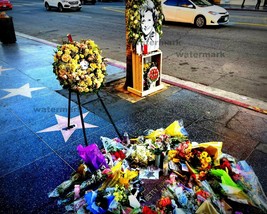 Betty White Hollywood Walk Of Fame Star Memorial Tribute January 1, 2022 Photo - £3.84 GBP+