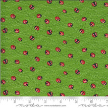 Moda SOLANA Ladybug Sprout 48684 15 Quilt Fabric By The Yard - Robin Pickens - £8.55 GBP