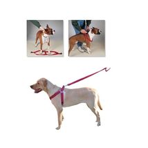 100 Pack Dog Harnesses Bulk Wholesale Assorted Colors Vet Rescue Shelter... - £505.82 GBP+