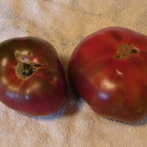 Fast Ship USA Seller Paul Robeson Tomato Grown To Organic Standards Gardening - $16.52