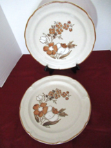 Hearthside Stoneware Autum Fair Baroque set of 2 dinner plates hand painted - £13.36 GBP