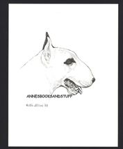 #404 BULL TERRIER portrait *  dog art print * Pen and ink drawing * Jan ... - $12.50