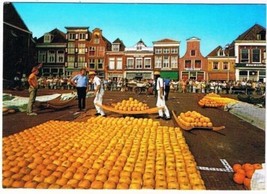 Alkmaar Netherlands Postcard Holland Kaasmarkt Market Cheese - £1.71 GBP