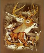 Running Deer Brown Super Soft Fleece Throw Blanket Gift Idea 50x60 - £13.88 GBP