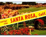 Dual View Banner Greetings From Santa Rosa California CA Chrome Postcard... - £2.80 GBP
