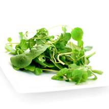 Ship From Us Upland Cress - 2 G Packet ~1,600 Seeds - NON-GMO, Heirloom TM11 - £12.74 GBP
