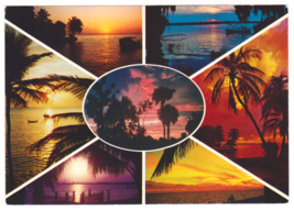 Vtg Postcard-Florida Sunset &amp; Sunrise-Photo Montoge-Palm Trees-6x4 Chrome-FL1 - £3.91 GBP