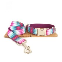 Vibrant Ribbon Traction Set For Patterned Dog Collars - £16.47 GBP