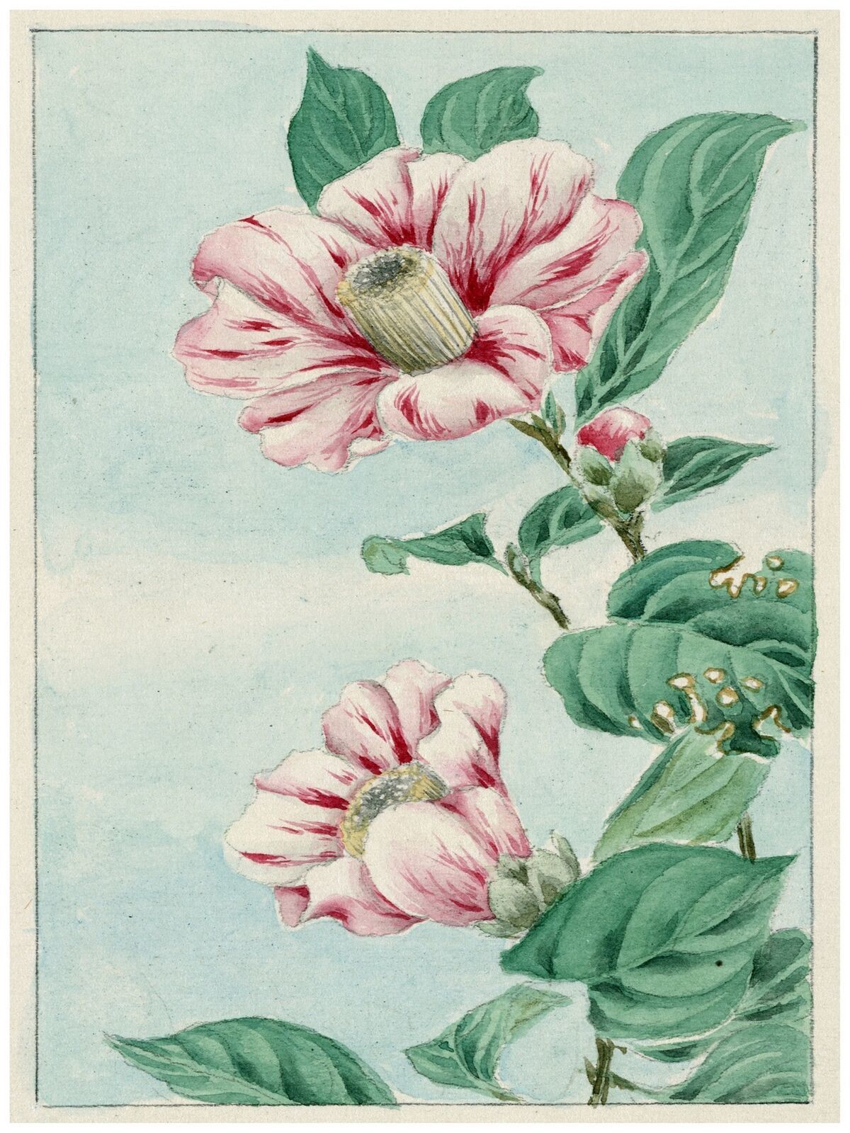 Primary image for 1546 Pink Flowers Asian vintage 18x24 Poster.Floral painting Decorative Art.