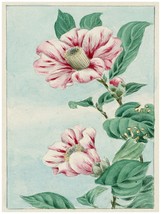 1546 Pink Flowers Asian vintage 18x24 Poster.Floral painting Decorative Art. - $28.00