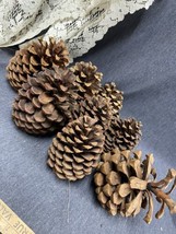 Lot Of 8 - LARGE PINE CONES 5&quot;-6&quot; Crafts - Holiday DECOR - $4.95
