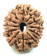Rare 12 Mukhi Ganesha Rudraksha - Nepal Bead - Lab Certified - $272.46 CAD