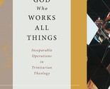 The Same God Who Works All Things: Inseparable Operations in Trinitarian... - £27.34 GBP
