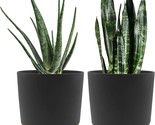 Plant Pots Set Of 2 Pack 8 Inch, Planters For Indoor Plants With Drainag... - £26.64 GBP