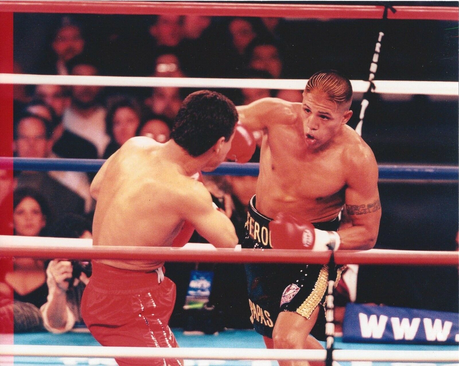 Primary image for FERNANDO VARGAS 8X10 PHOTO BOXING PICTURE RING ACTION