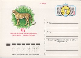 Russia USSR Postal Card Stationery Wildlife Cheetah Cats ZAYIX 070822SM162M - $2.25