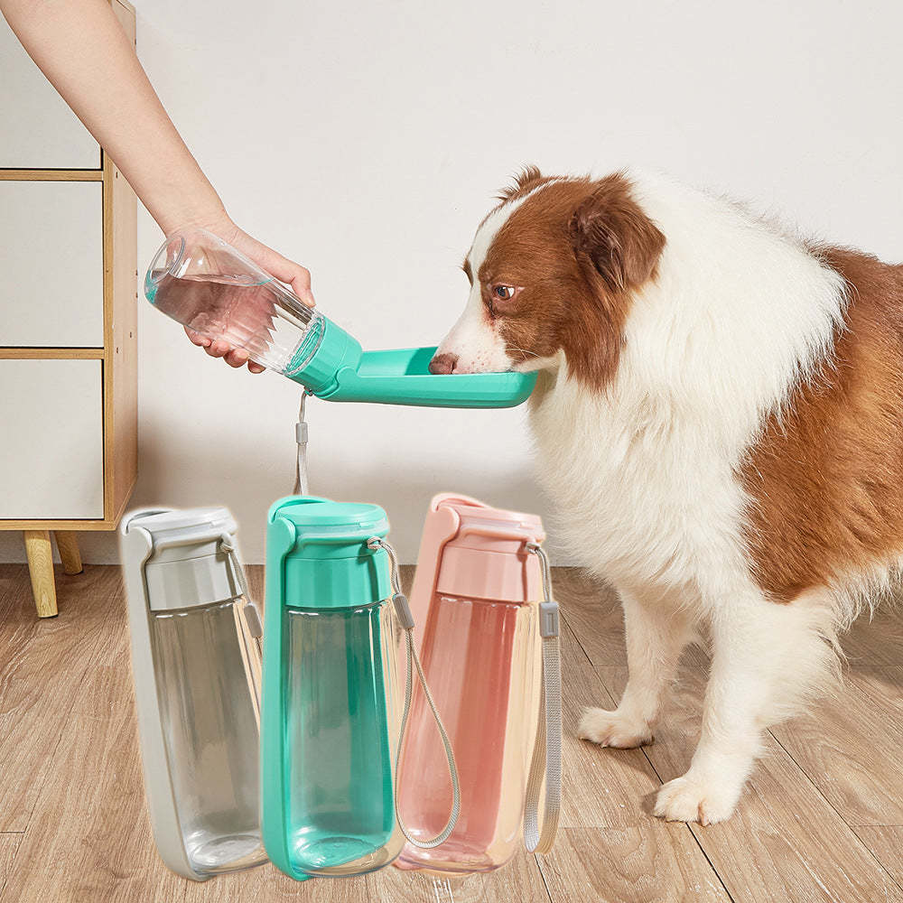 Pet Water Cup Outdoor Portable Folding Dog Water Bottle 550ml Large Capa... - $12.50+