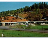 Mother Lode Motel Placerville California CA UNP Chrome Postcard F21 - $4.90