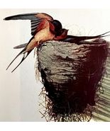 Barn Swallow 1950 Lithograph Art Print Audubon Bird First Edition DWU14D - $42.03 CAD