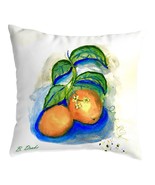 Betsy Drake Two Oranges Large Noncorded Pillow 18x18 - £31.15 GBP