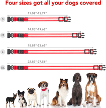 LED Dog Collar, Light up Dog Collar Adjustable USB Rechargeable Super Bright Saf - £14.33 GBP