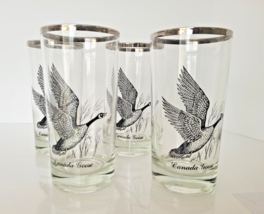 4 VTG Game Bird Highball Glasses Canada Goose Hunting Sportsman w/ Platinum Rims - £22.86 GBP