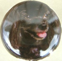 Cabinet Knobs Poodle Toy Black dog - £4.23 GBP