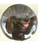 Cabinet Knobs Poodle Toy Black dog - $98.89 MXN