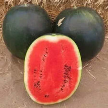 Big Black Skin Red Seedless Watermelon Organic, 20 Seeds - £9.66 GBP