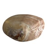 Natural Mother of Pearl Shell Dish – Iridescent Coastal Decor – 6x4.25 I... - $23.98 CAD