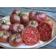 50 + Seeds  PrudenS Purple Tomato Tomatoe Vegetable Garden Edible Cannin... - £7.21 GBP