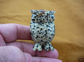 (Y-BIR-OW-704) SPOTTED OWL bird gemstone WHITE BLACK carving OWLS ART - £13.77 GBP