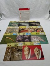 Lot Of (11) 1975 Rencontre Molluscs Education Cards - £31.64 GBP
