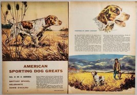 1955 Magazine Picture Brittany Spaniel American Sporting Dogs by James Lockhart - £14.10 GBP