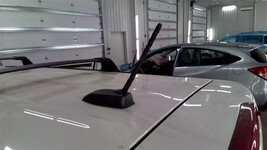 SOUL      2019 Antenna 1038504731Antenna Only, No Wiring Harness, Color ... - $54.88 SOUL      2019 Antenna 1038504731Antenna Only, No Wiring Harness, Color ... - $54.88