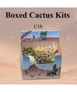 Cactus Gift Box Arizona Grown 6 Plants Southwest Gift Ready To Grow Succ... - $24.25