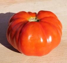 50 Seeds Chianti Rose Tomato Juicy Tomatoe Vegetable Edible Food Garden USA Ship - $9.32