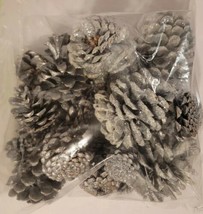 Lot of 27 Real Pine Cones Painted Silver &amp; White w/Glitter Decoration Cr... - £23.88 GBP