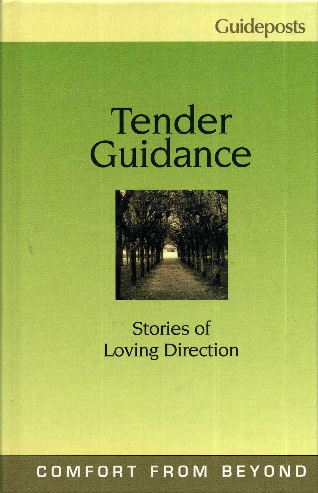 Tender Guidance (Stories of Loving Direction, Comfort From Beyond) [Hard... - $4.94