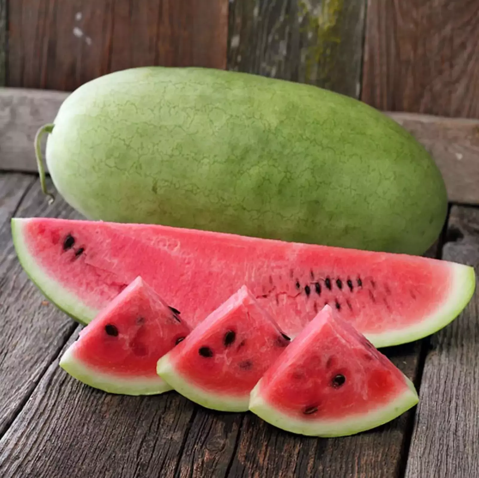 10+ CHARLESTON GREY WATERMELON SEEDS - Heirloom - Organic - NON GMO ----... - $7.38